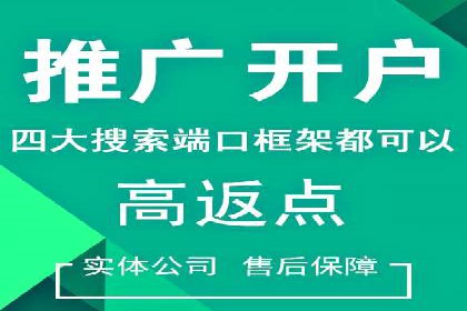 行业领先的SEM推广代运营公司案例集锦